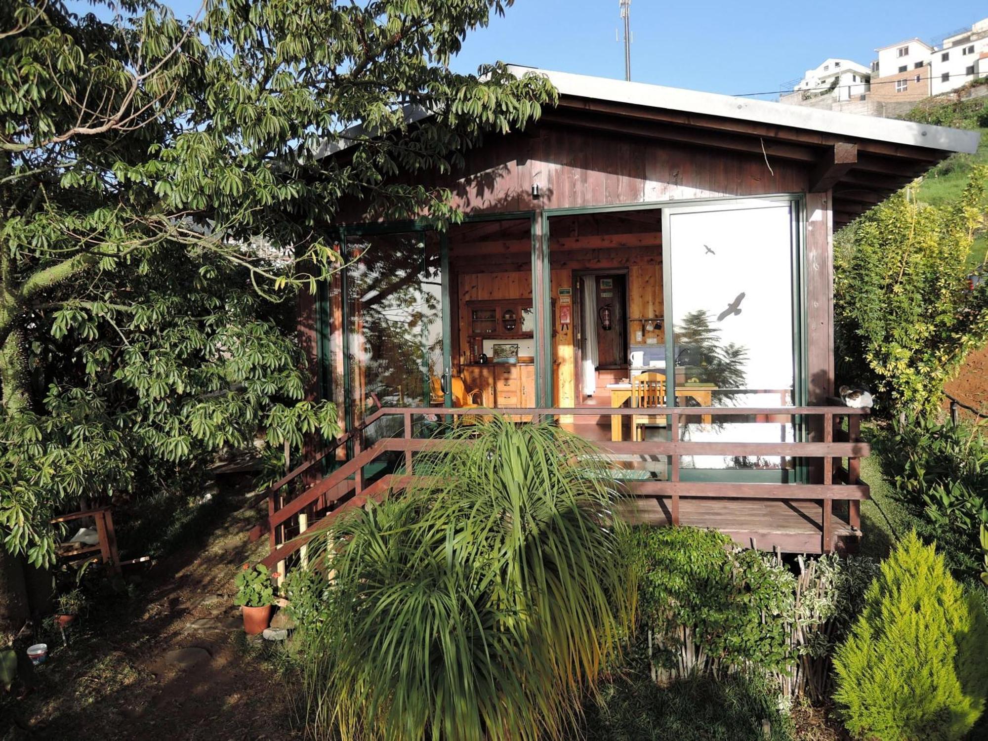 Ferienhaus In Canhas Mit Schoenem Garten Ponta do Sol  Exterior photo