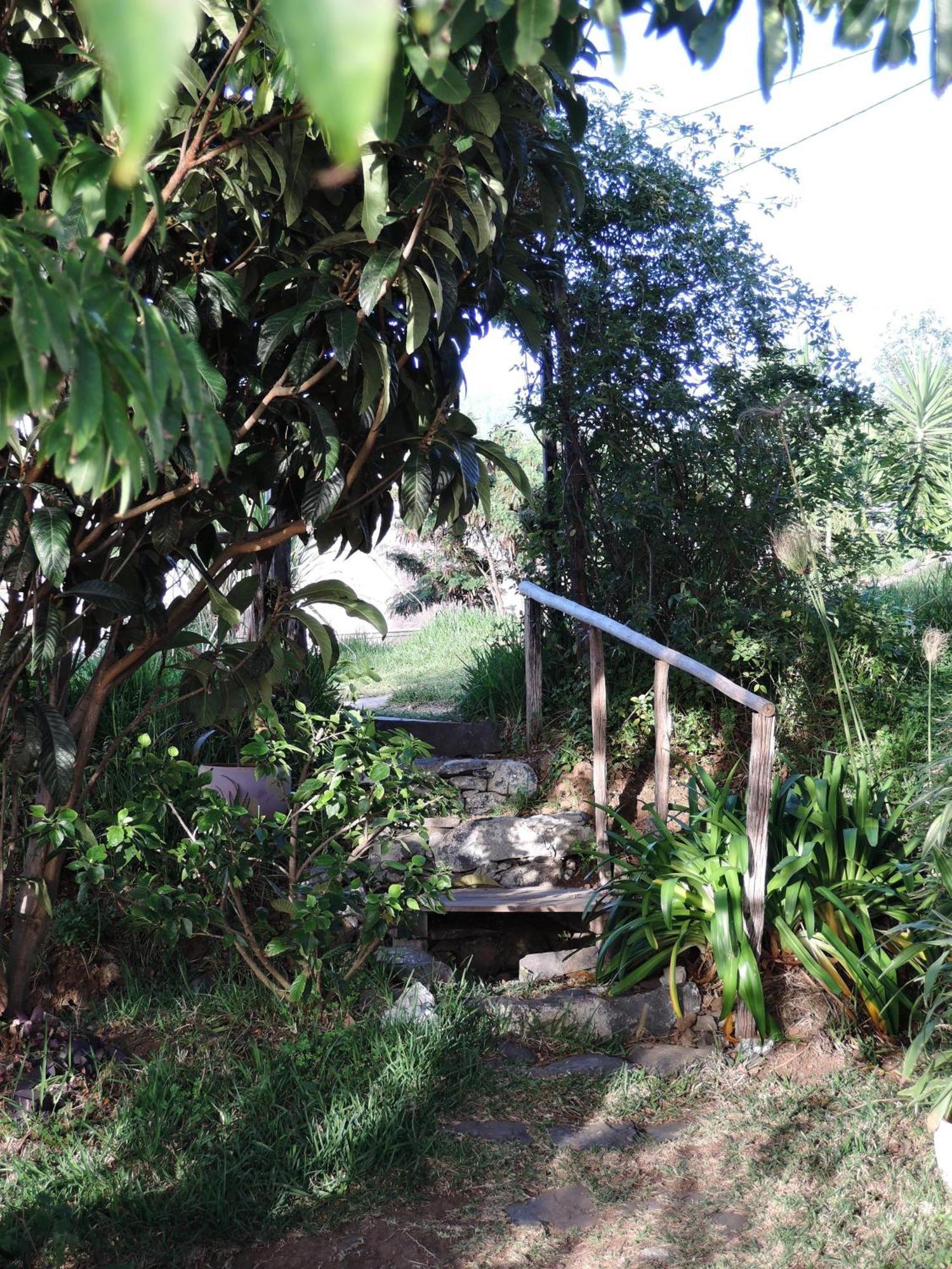 Ferienhaus In Canhas Mit Schoenem Garten Ponta do Sol  Exterior photo
