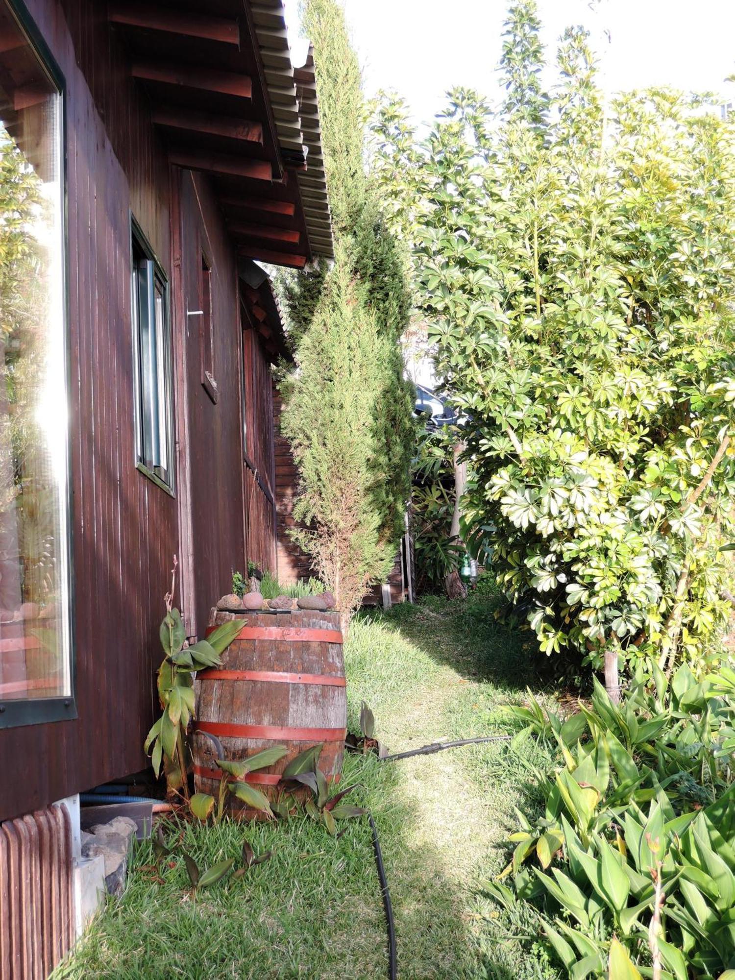 Ferienhaus In Canhas Mit Schoenem Garten Ponta do Sol  Exterior photo